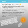 Клавиатура A4Tech Fstyler FBK30 черный/серый USB беспроводная BT/Radio slim Multimedia (FBK30 BLACKCURRANT)