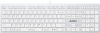 Клавиатура A4Tech Fstyler FX50 белый USB slim Multimedia (FX50 WHITE)